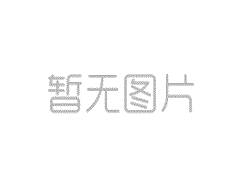 特朗普命令将英语定为美国官方言语 初次